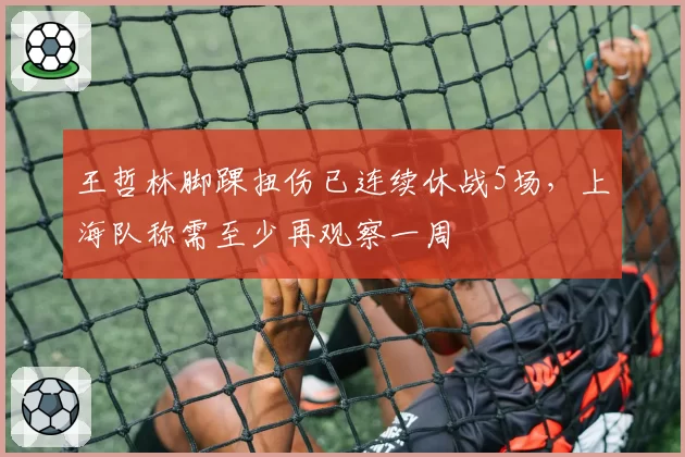 王哲林脚踝扭伤已连续休战5场，上海队称需至少再观察一周