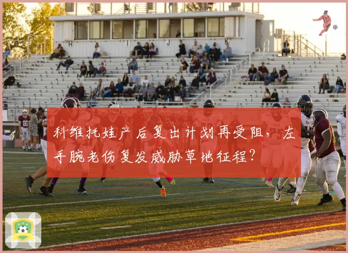 科维托娃产后复出计划再受阻,左手腕老伤复发威胁草地征程?