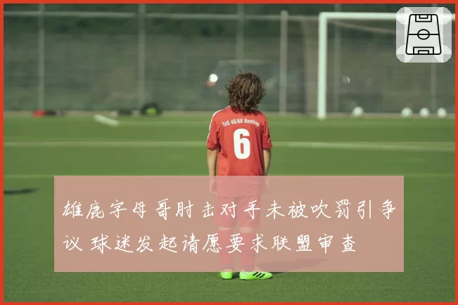 雄鹿字母哥肘击对手未被吹罚引争议 球迷发起请愿要求联盟审查