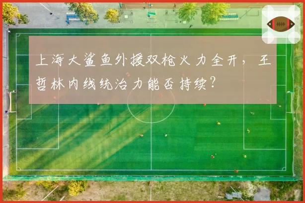 上海大鲨鱼外援双枪火力全开，王哲林内线统治力能否持续？